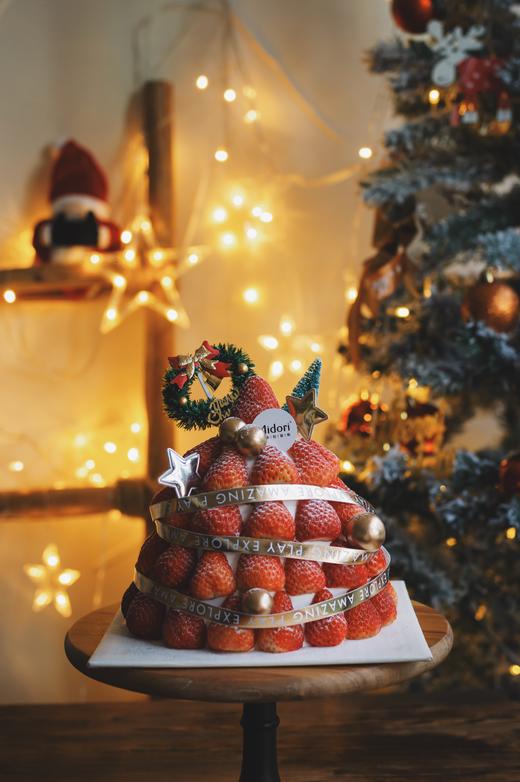 21年草莓树- 圣诞 商品图0