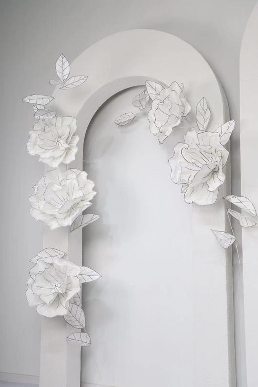 花藤（运费自理） 商品图4