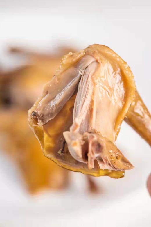 金光鸽王红烧味脆皮烤乳鸽鸽肉熟食深圳特产微波加热清蒸 皮香汁多 肉质紧实 商品图3