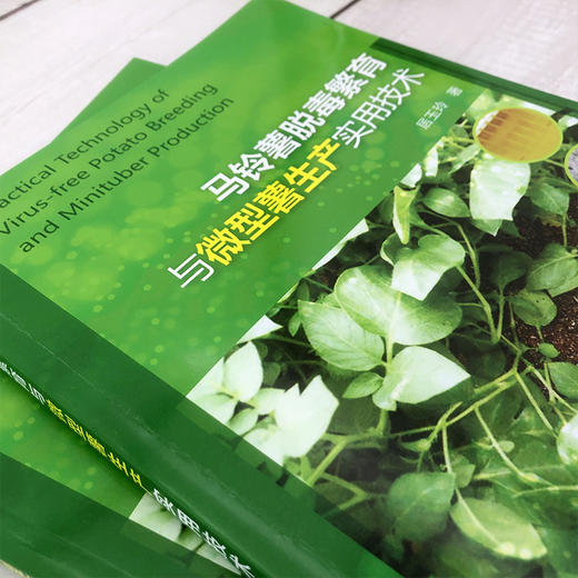 马铃薯脱毒繁育与微型薯生产实用技术 商品图2