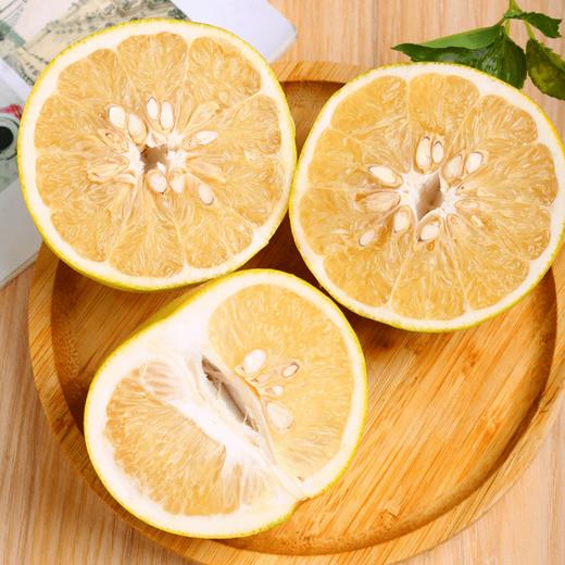 福建爆汁葡萄柚  甜蜜多汁 细嫩化渣 可榨汁可鲜食 商品图2