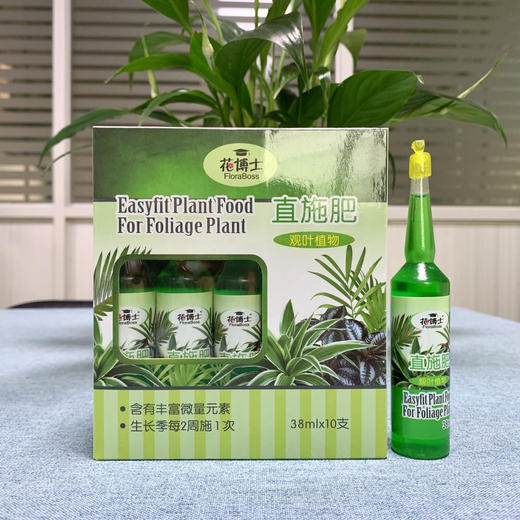 1盒10支 花博士直施肥营养液 通用型观叶观花植物 方便花肥12.9（1盒10支其中：4支观叶、4支通用、2支观花） 商品图4