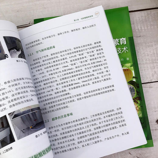 马铃薯脱毒繁育与微型薯生产实用技术 商品图7