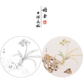 【有步骤】王震工笔画白描底稿圆形小品《水仙图》初学者临摹花鸟线稿WZ25