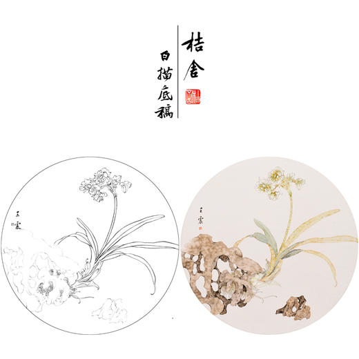 【有步骤】王震工笔画白描底稿圆形小品《水仙图》初学者临摹花鸟线稿WZ25 商品图0