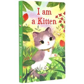 正版 I am a Kitten 我是一只小猫 英文原版绘本 斯凯瑞0-3岁幼儿童英语启蒙早教纸板书 英文版进口书籍