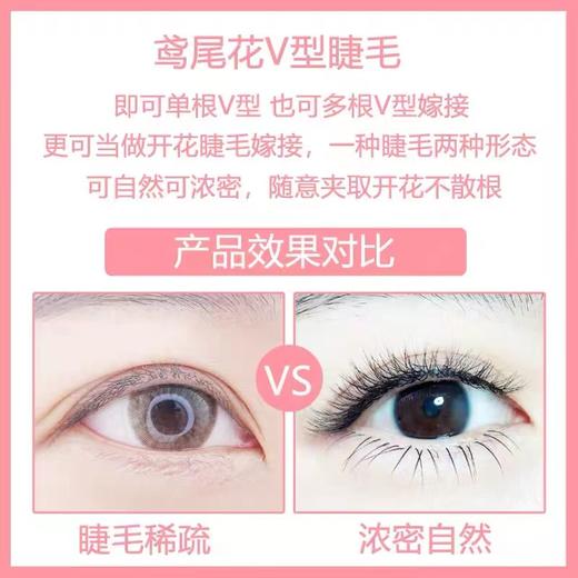 0.05v型睫毛嫁接一秒开花大v山茶花超软毛鸢尾花双笙花美睫店专用 商品图3