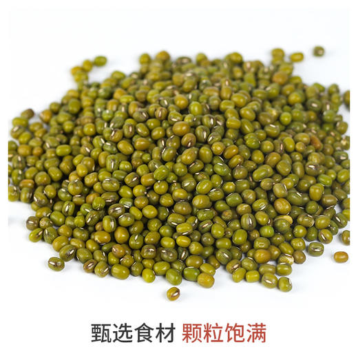 高山硒绿豆 700g 商品图2