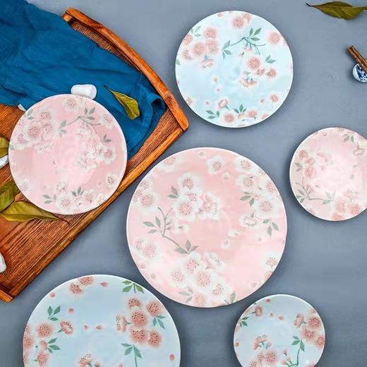 8F 西海日瓷日本进口大盘 商品图2