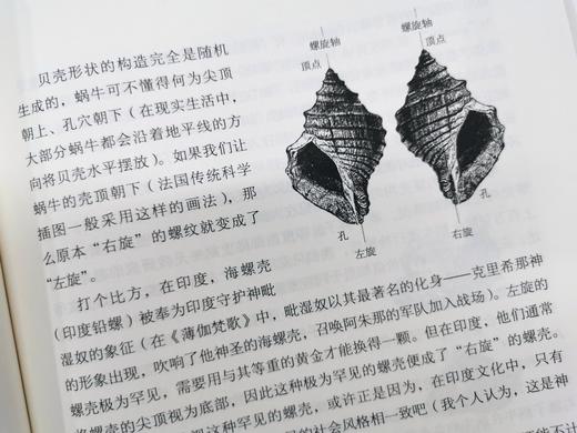 干草堆中的恐龙 （美）斯蒂芬·杰·古尔德Stephen Jay Gould 著 商品图1