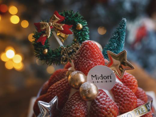 21年草莓树- 圣诞 商品图6