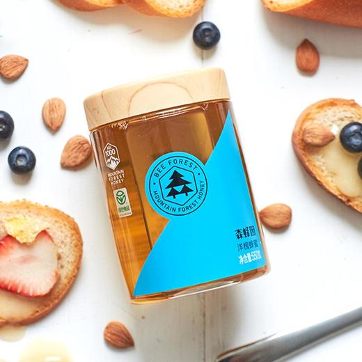 森蜂园-洋槐蜂蜜550g（绿色食品） 商品图2