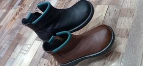 双柏鹤 货号1999