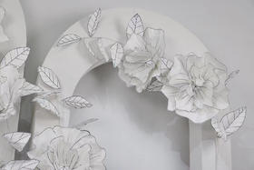 花藤（运费自理）