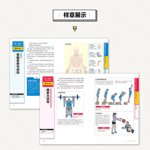 体能训练基础理论 全彩图解版 商品图0