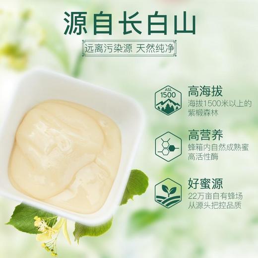 森蜂园-长白山椴树原蜜550g（绿色食品） 商品图1