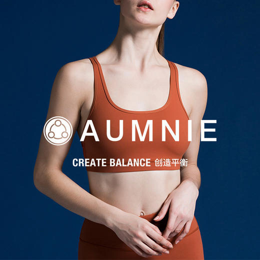 经典胸围 CLASSIC BRA 商品图2