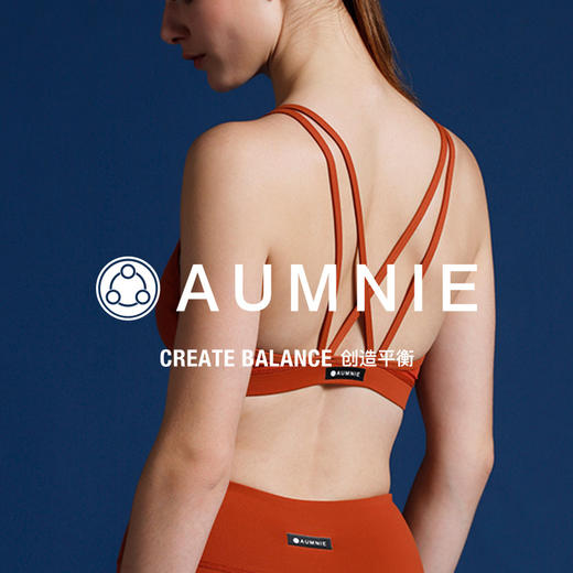 经典胸围 CLASSIC BRA 商品图3