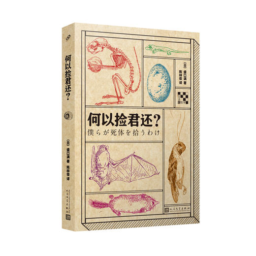 生活轻哲学系列（4册）《战斗的植物》+《动物的错觉》+《遇到熊怎么办？》+《何以捡君还？》 商品图4