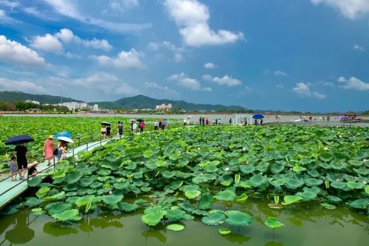 岗美温泉度假村图片