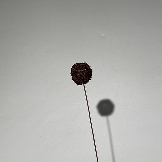 永生花材 ｜ 藤球黑巧 商品图0