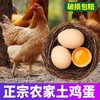 【严选】誉福园橘园谷饲鲜鸡蛋40-45g/个（厂家直发） 商品缩略图0