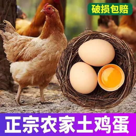 【严选】誉福园橘园谷饲鲜鸡蛋40-45g/个（厂家直发） 商品图0