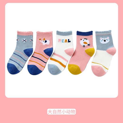 【5双装 优选好面料】A类儿童袜子春秋季精梳棉卡通袜子 儿童中筒袜子新款批发秋冬童袜男 商品图6