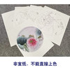 杨冬冬工笔画白描底稿荷花一套四幅初学者尺寸35*35厘米TY04 商品缩略图3