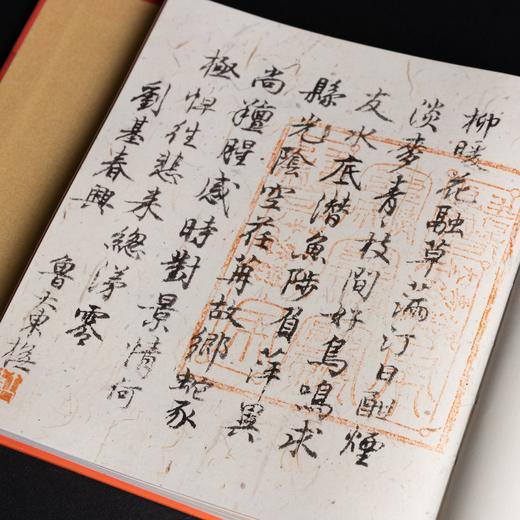 【签名本&普通本】《纸老虎日历 》鲁大东 著 商品图5