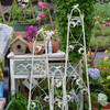 欧美式花园艺铁艺月季铁线莲植物爬藤花架攀爬架户外庭院阳台支架 商品缩略图2