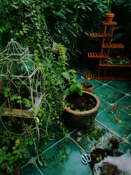 欧美式田园创意铁艺鸟笼多肉盆栽爬藤花架花园艺家居店铺庭院装饰 商品图4