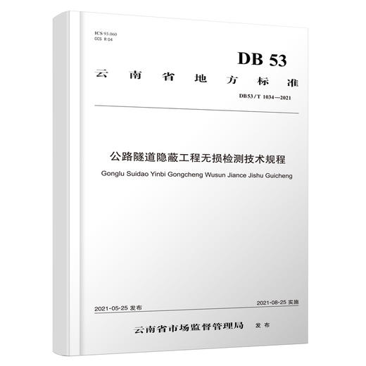 公路隧道隐蔽工程无损检测技术规程 商品图0
