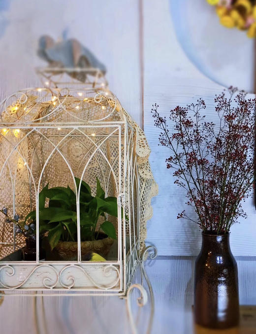 欧美式田园创意铁艺鸟笼多肉盆栽爬藤花架花园艺家居店铺庭院装饰 商品图5