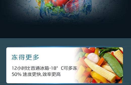 容声BCD-415WKR1DPGA冰箱 商品图5