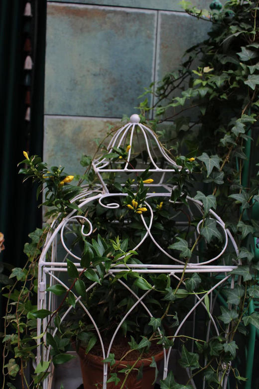 欧美式田园创意铁艺鸟笼多肉盆栽爬藤花架花园艺家居店铺庭院装饰 商品图3