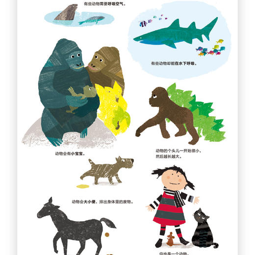 后浪正版 忙碌的动物 3-6岁全景情境认知游戏书 了解动物的生活 浪花朵朵童书 商品图2