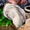 【一入蚝门深似海】真正乳山生蚝 乳山核心产区 国内生蚝的天花板 完美媲美国外顶级生蚝 5斤/箱（6~8个）个大肉美 营养丰富 国家地理标志 商品缩略图4