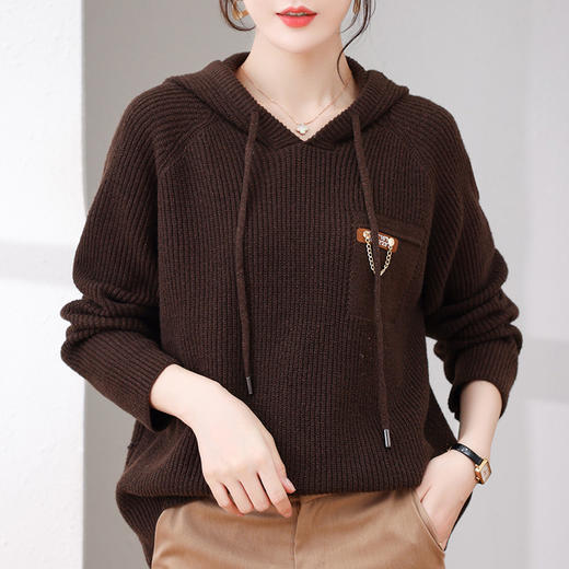 YY- 6-5825 慵懒风毛衣女宽松外穿2021年秋冬季新款含亮丝洋气休闲连帽针织衫 商品图1