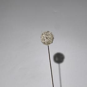 永生花材 ｜ 藤球白巧