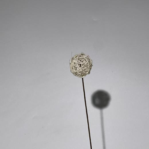 永生花材 ｜ 藤球白巧 商品图0