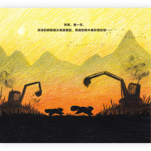 组合：小熊猫的回家路+弗朗西斯森林奇遇记+猜猜我是谁：濒危动物洞洞书 商品图4