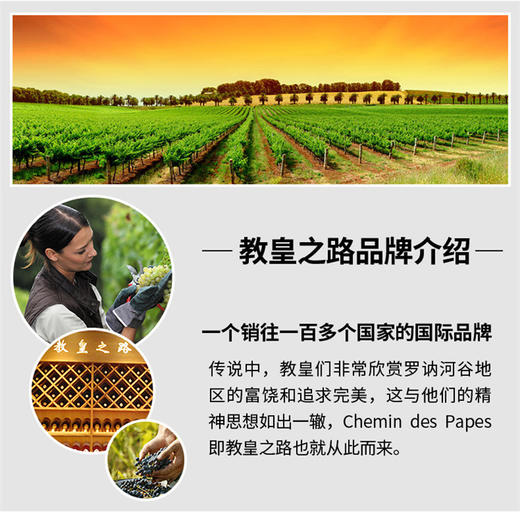 教皇之路干红木盒套装750ml*6【GA】 商品图4