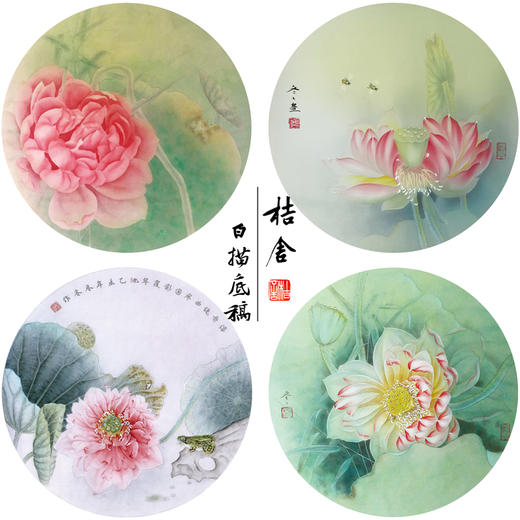 杨冬冬工笔画白描底稿荷花一套四幅初学者尺寸35*35厘米TY04 商品图0