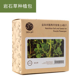 盆栽种植包 KZ1015 岩石草