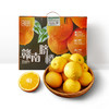 【地理标志产品-赣南脐橙】 优选信丰安远小产区 汁水一流 出口级别脐橙（净重9.5斤-10斤） 商品缩略图0