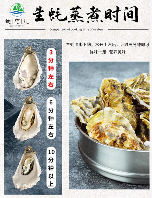 【一入蚝门深似海】真正乳山生蚝 乳山核心产区 国内生蚝的天花板 完美媲美国外顶级生蚝 5斤/箱（6~8个）个大肉美 营养丰富 国家地理标志 商品图3