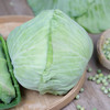平包包心菜（400g以上)(半个/整个） 商品缩略图3