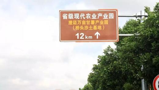 正宗桥头地瓜，精品果，产地直发，粉糯香甜【2112-2】 商品图6