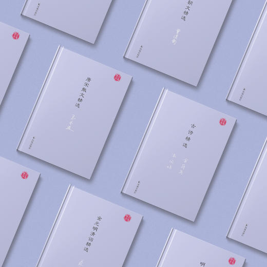 《名家视角丛书》（全十册）：《古诗精选》《汉魏六朝文精选》 《唐诗精选》《唐宋词精选》《唐宋散文精选》《宋诗精选》《元明清散曲精选》《金元明清词精选》《明清诗精选》《明清散文精选》 商品图2